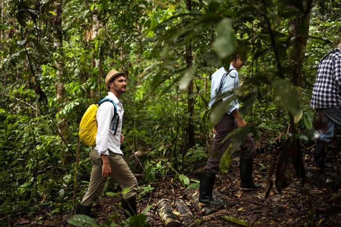 Rainforests beginners expanded