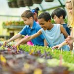 Volunteer and Educational Vacations